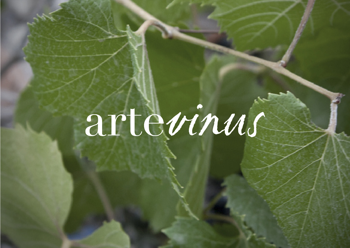 Artevinus, una marca para la exportación